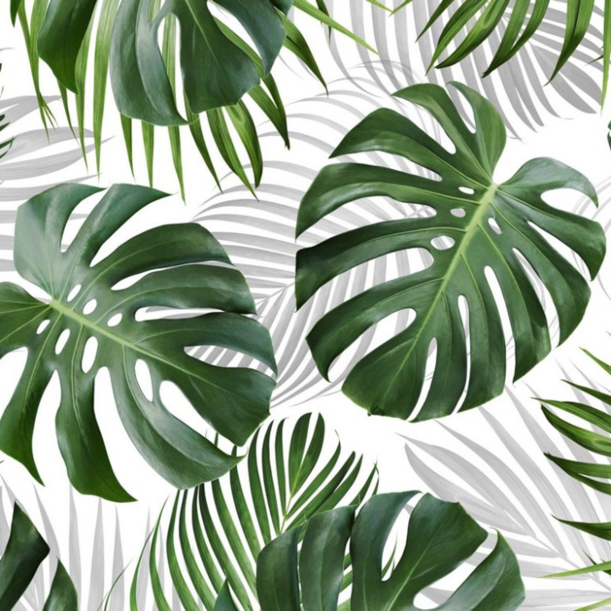 Tropical Chic